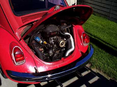 Get in! Sit Down! Shut Up! And Hang On!